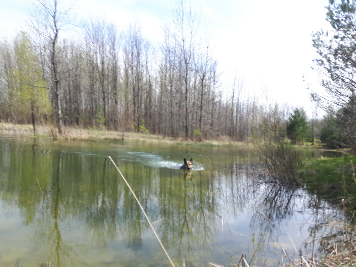 organic farming williamsburg ontario