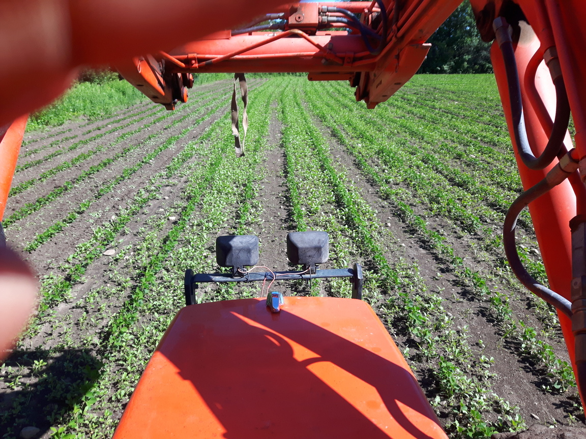 organic farming williamsburg ontario