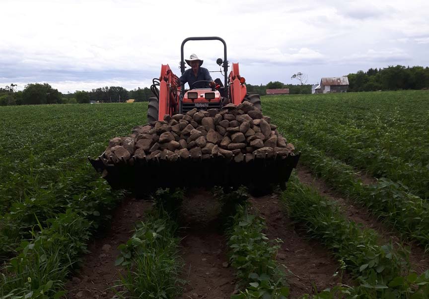 organic farming williamsburg ontario